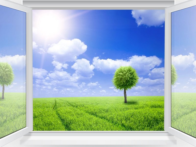Carpet Can Help You Breathe Easier - GCO in Reno, Nevada